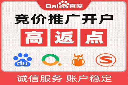 百度推广公司案例解析：如何利用大数据优化营销策略